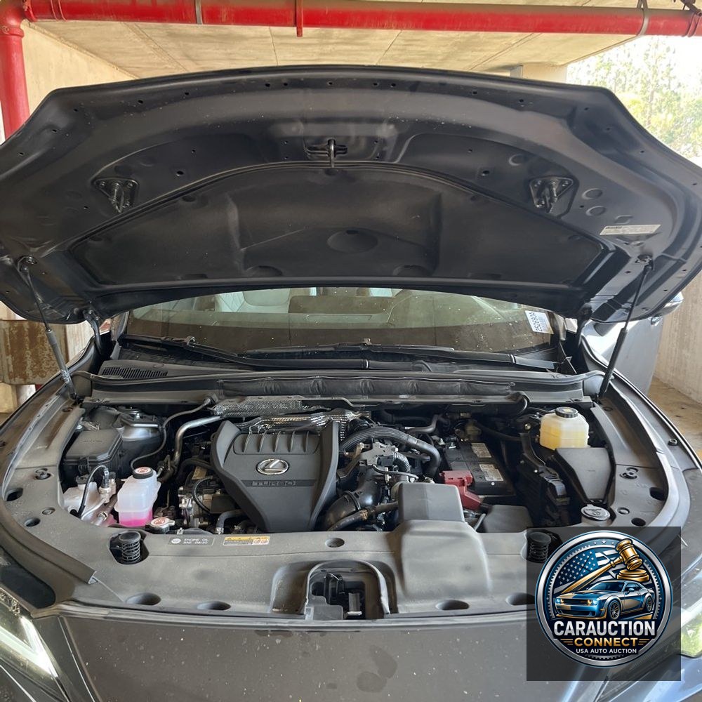 2024 Lexus RX 350 Premium