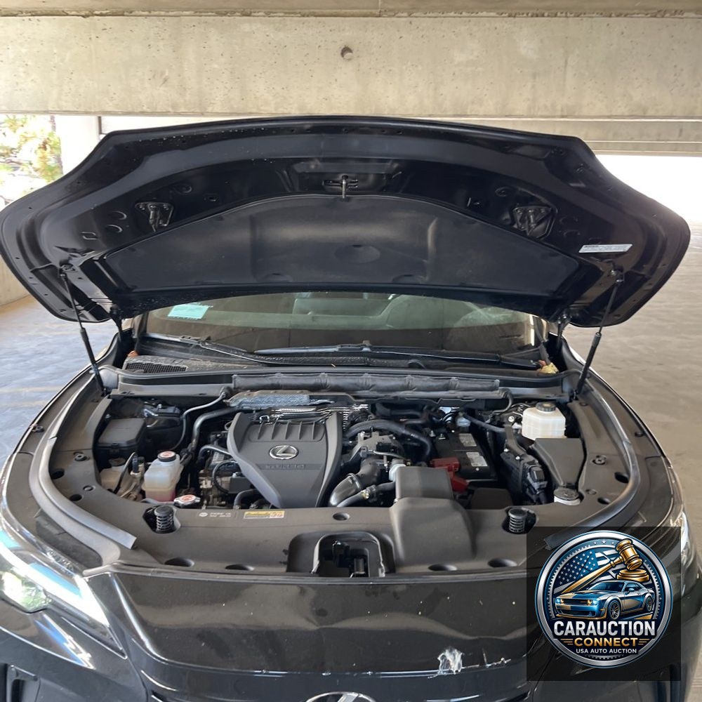2024 Lexus RX 350 Premium