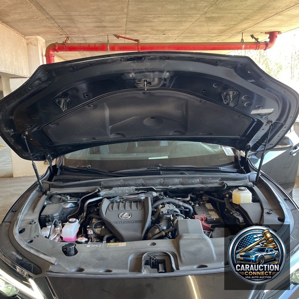 2024 Lexus RX 350 Base