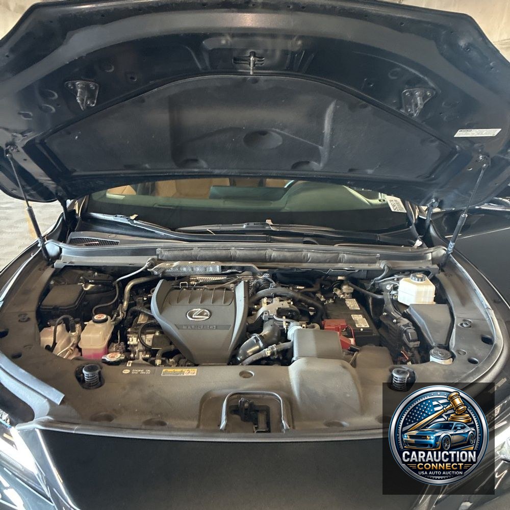 2024 Lexus RX 350 Premium