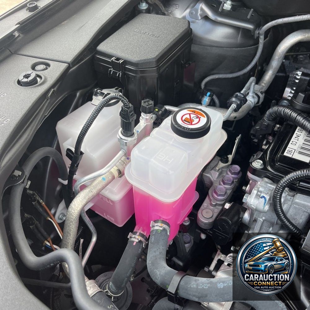 2024 Lexus RX 350 Premium+