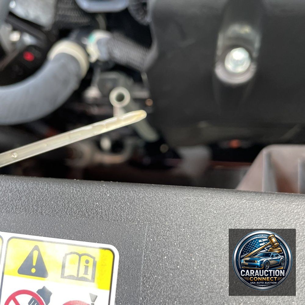 2023 Lexus RX 350 Premium+