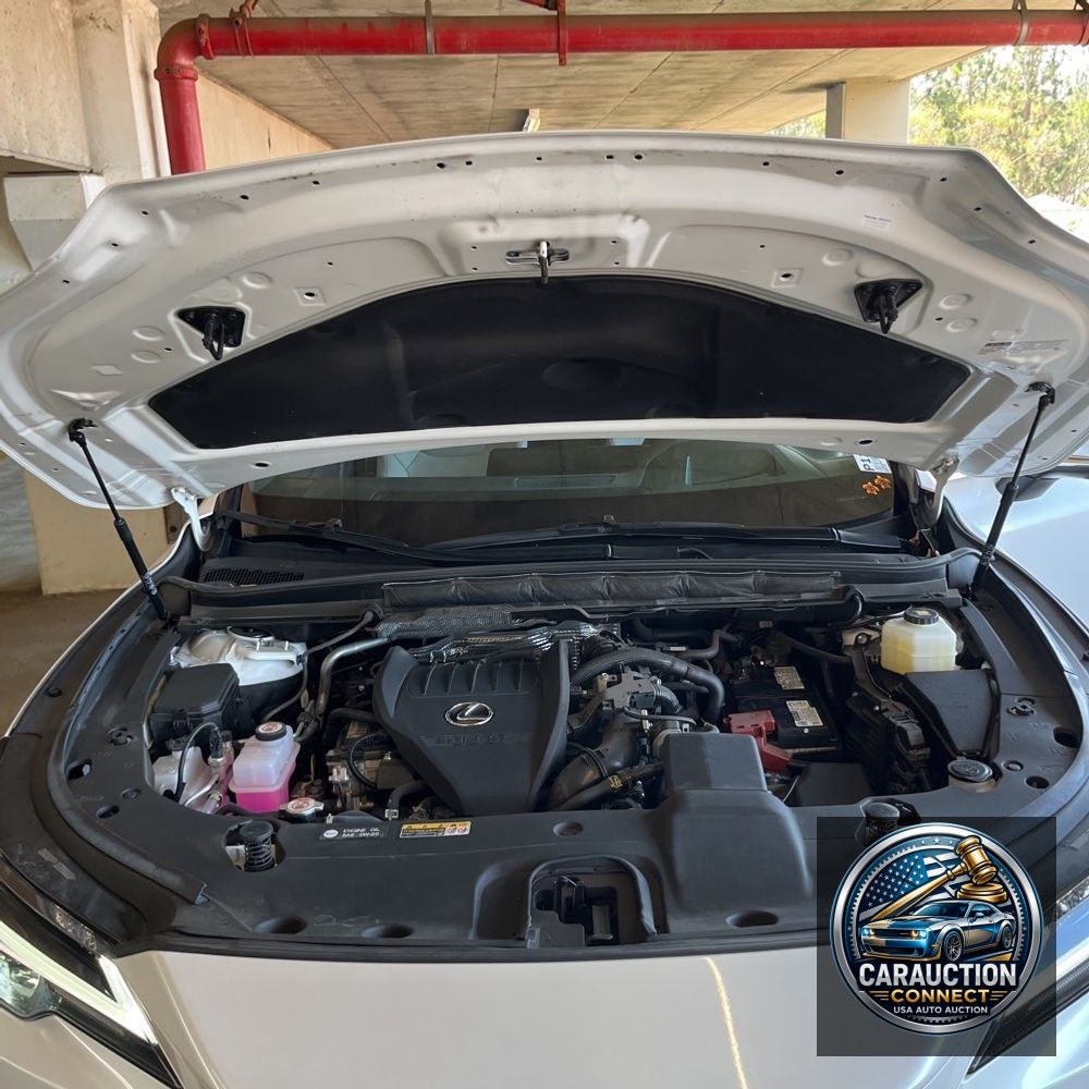 2023 Lexus RX 350 Premium+