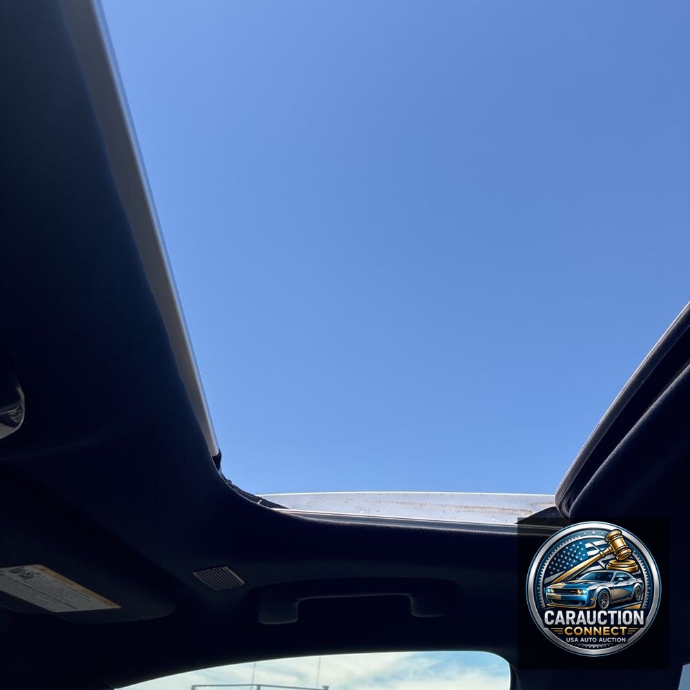 2024 Lexus RX 350 Premium+