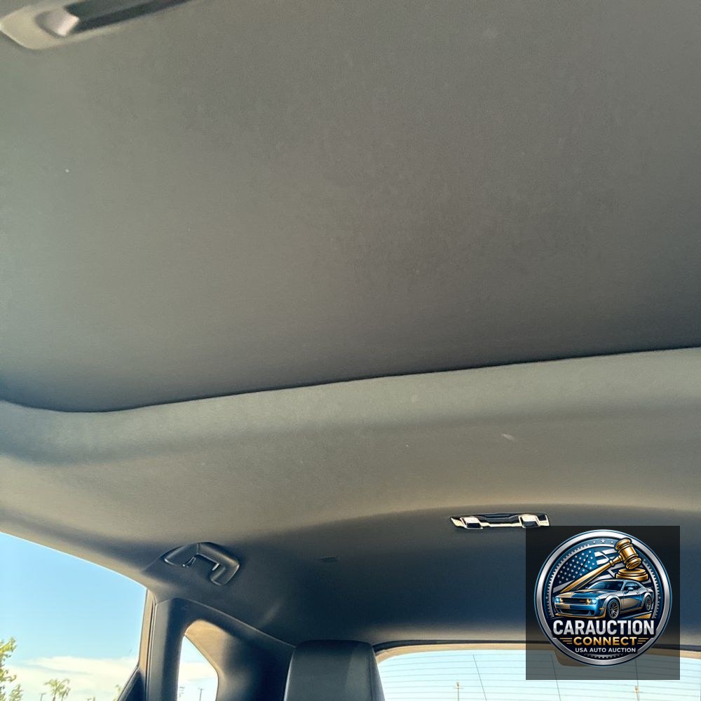 2024 Lexus RX 350 Premium+