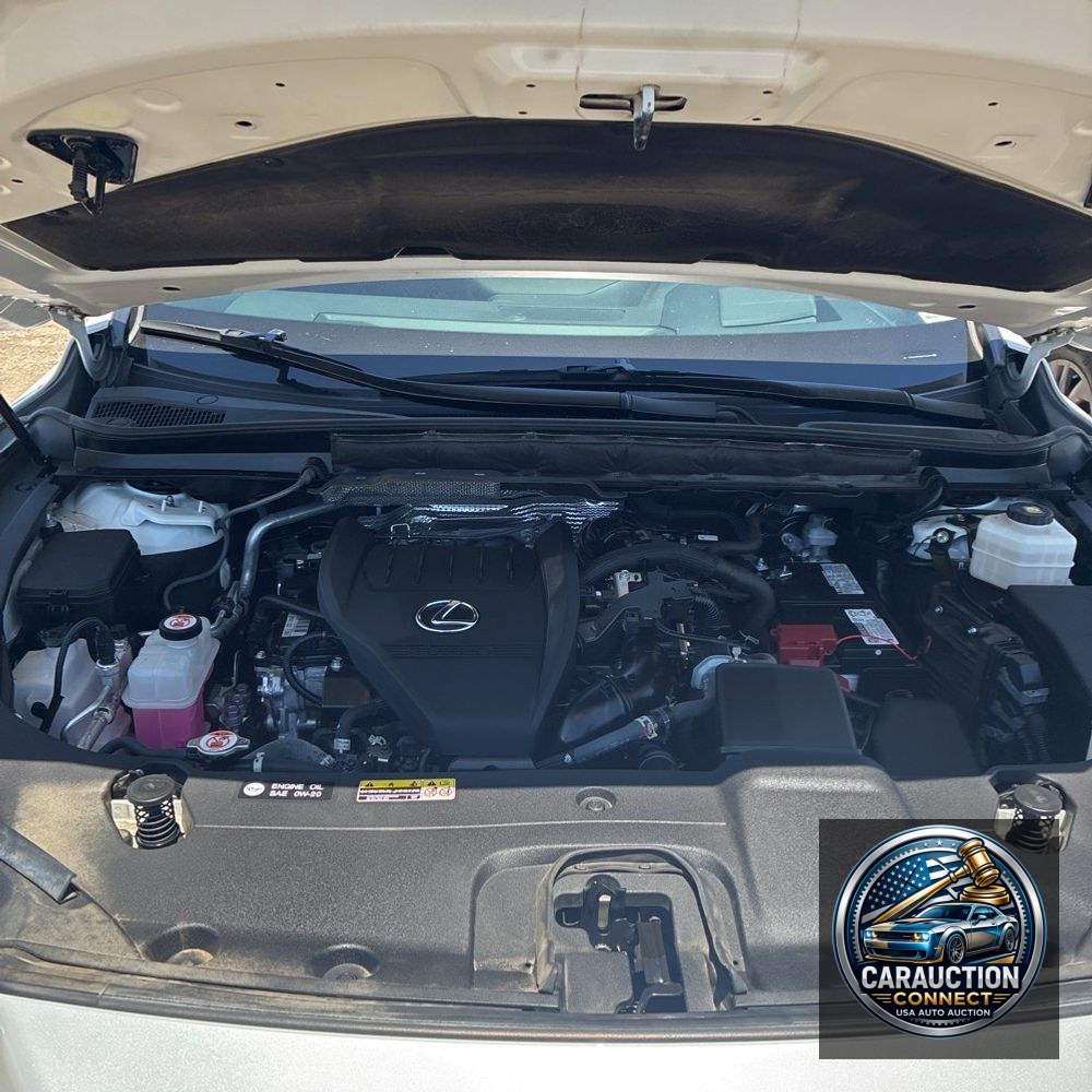2024 Lexus RX 350 Premium+