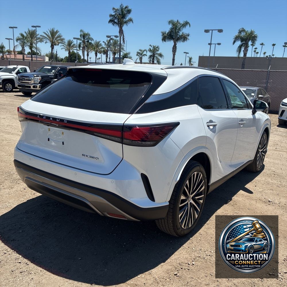 2024 Lexus RX 350 Premium+