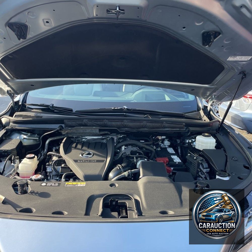 2024 Lexus RX 350 Premium+