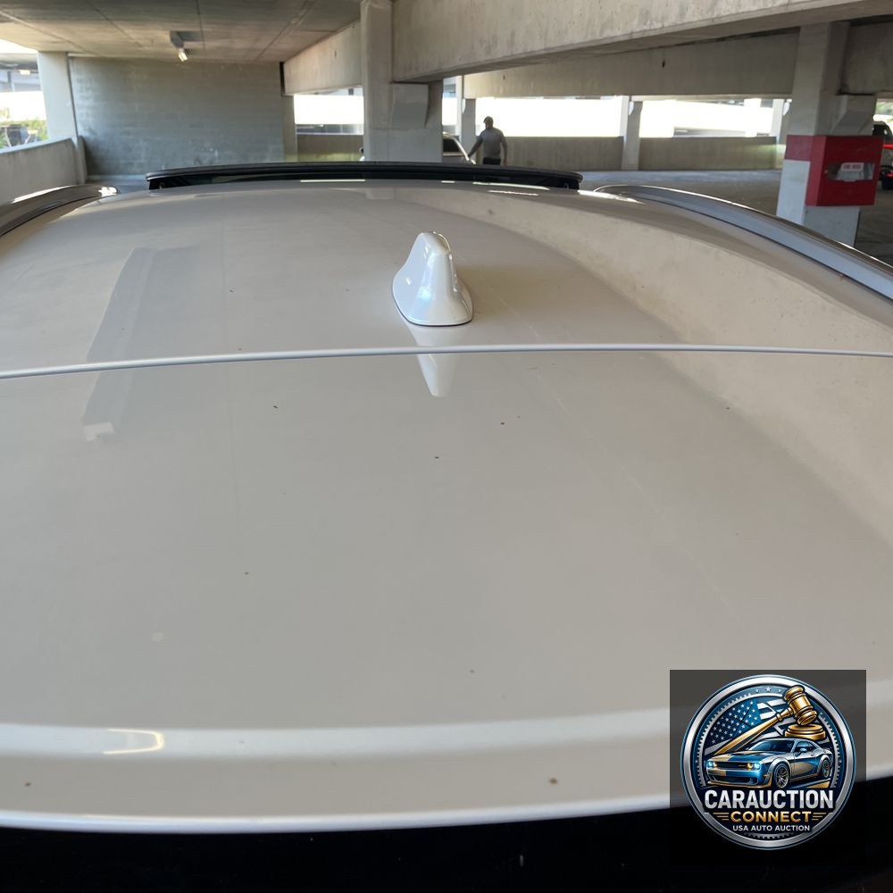 2024 Lexus RX 350 Base