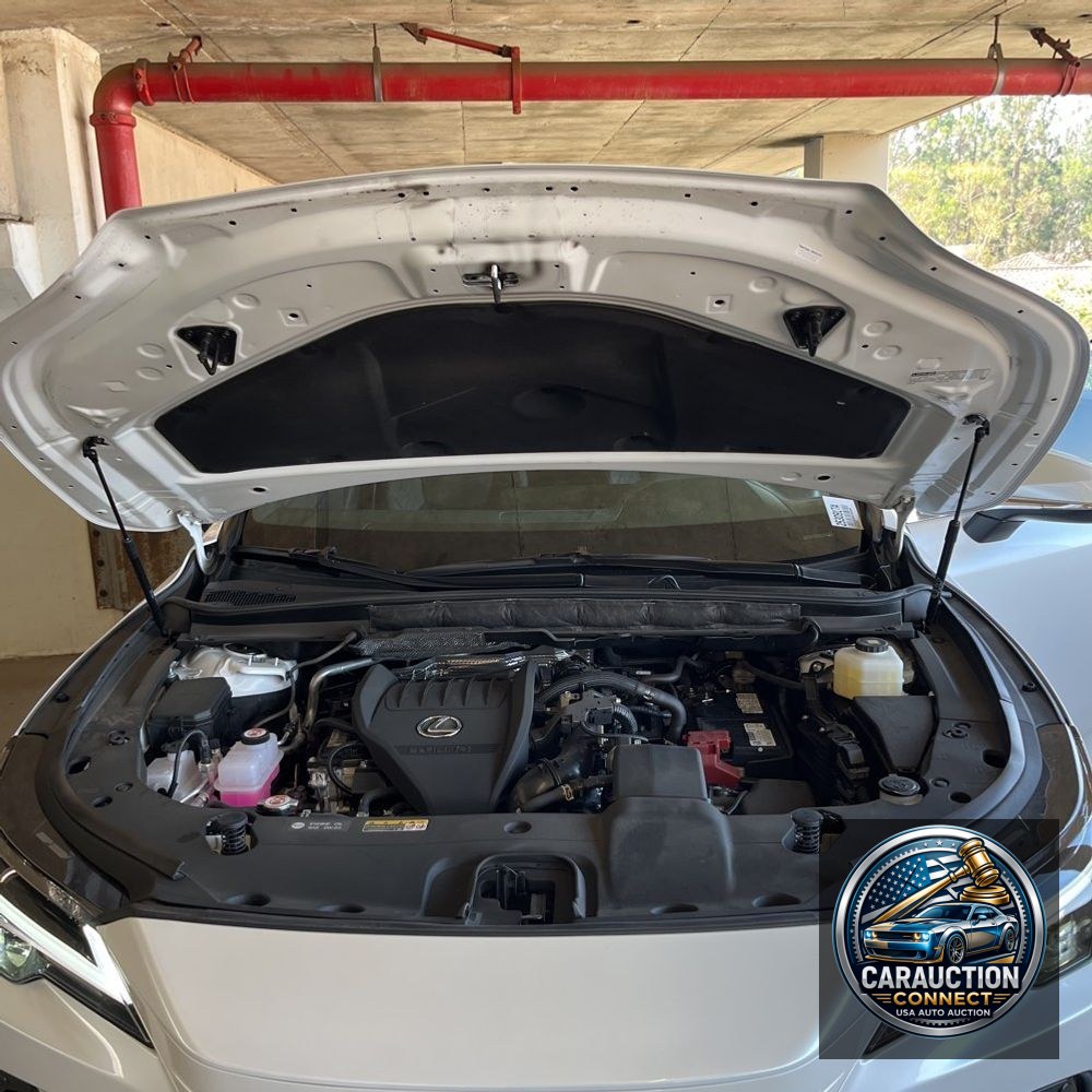 2024 Lexus RX 350 Base