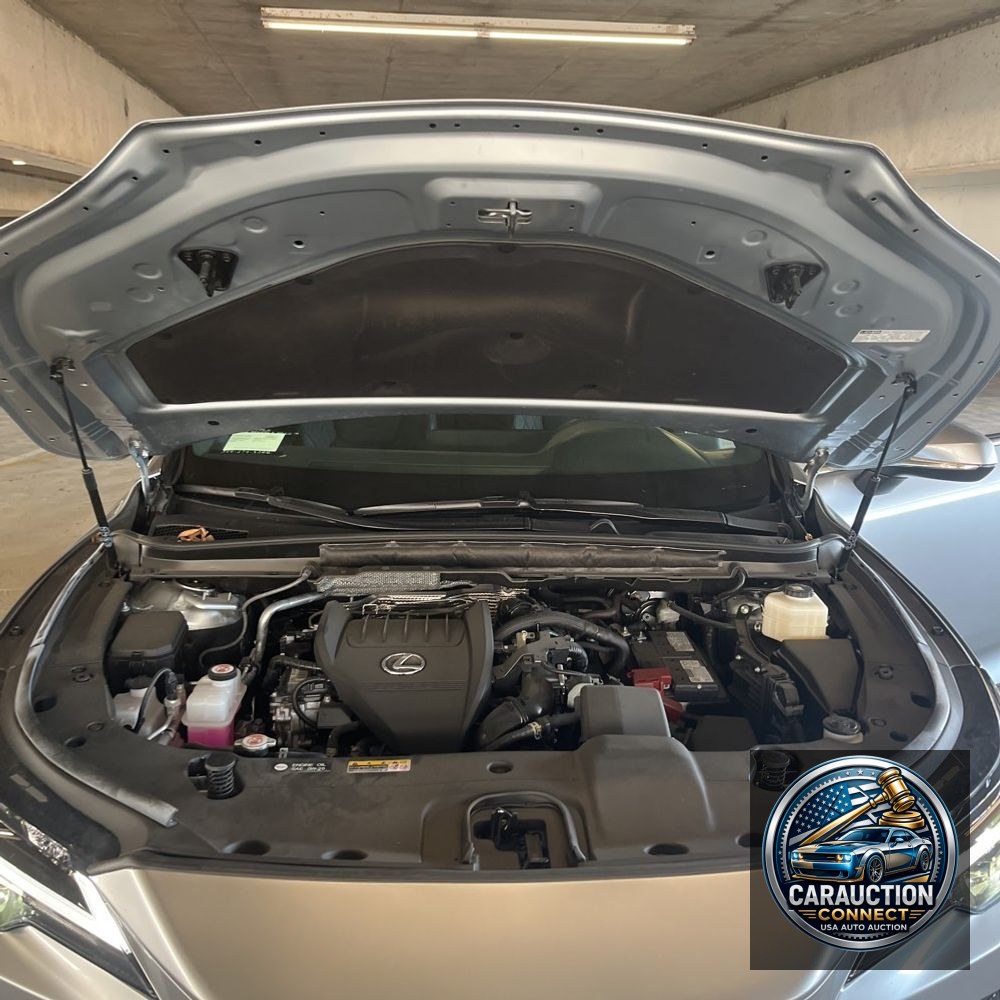 2024 Lexus RX 350 Base