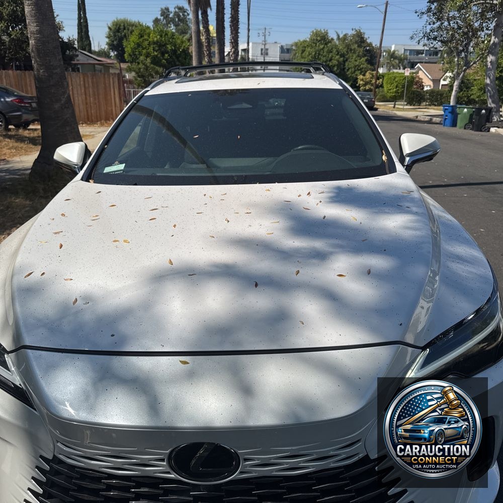 2024 Lexus RX 350 Premium