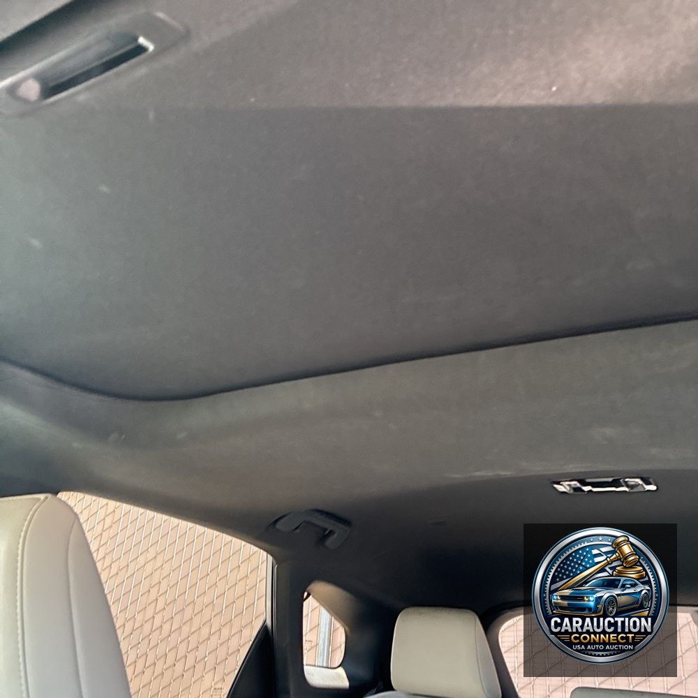 2023 Lexus RX 350 Premium+