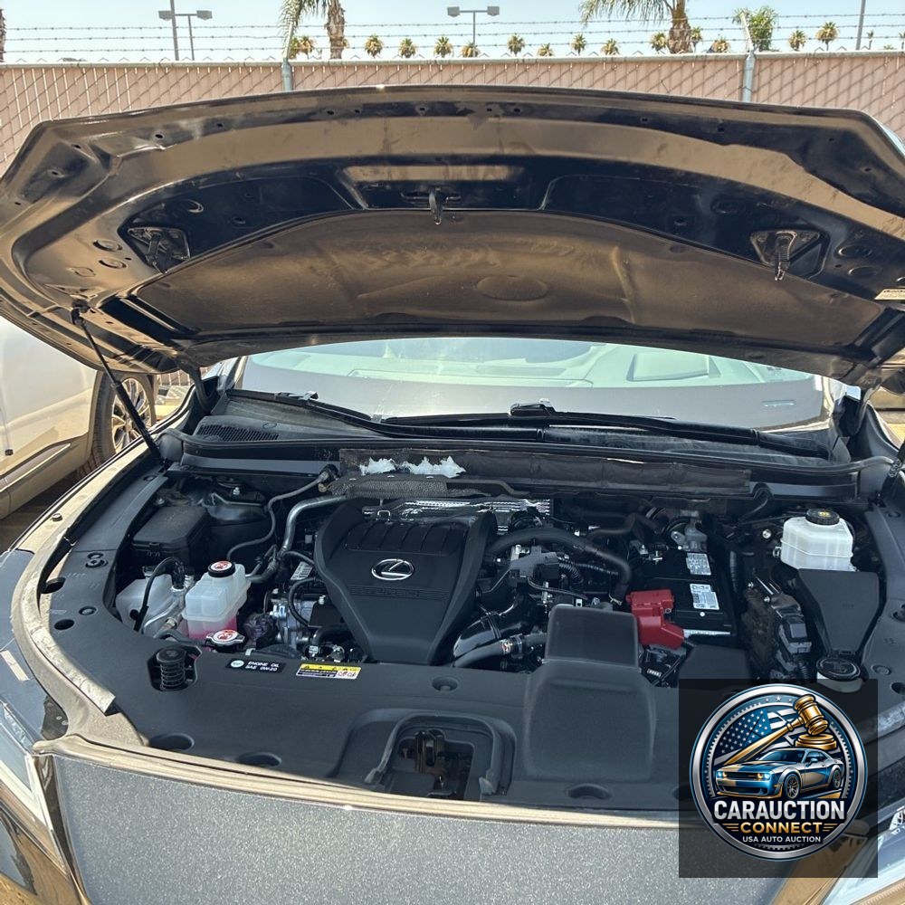 2023 Lexus RX 350 Premium+