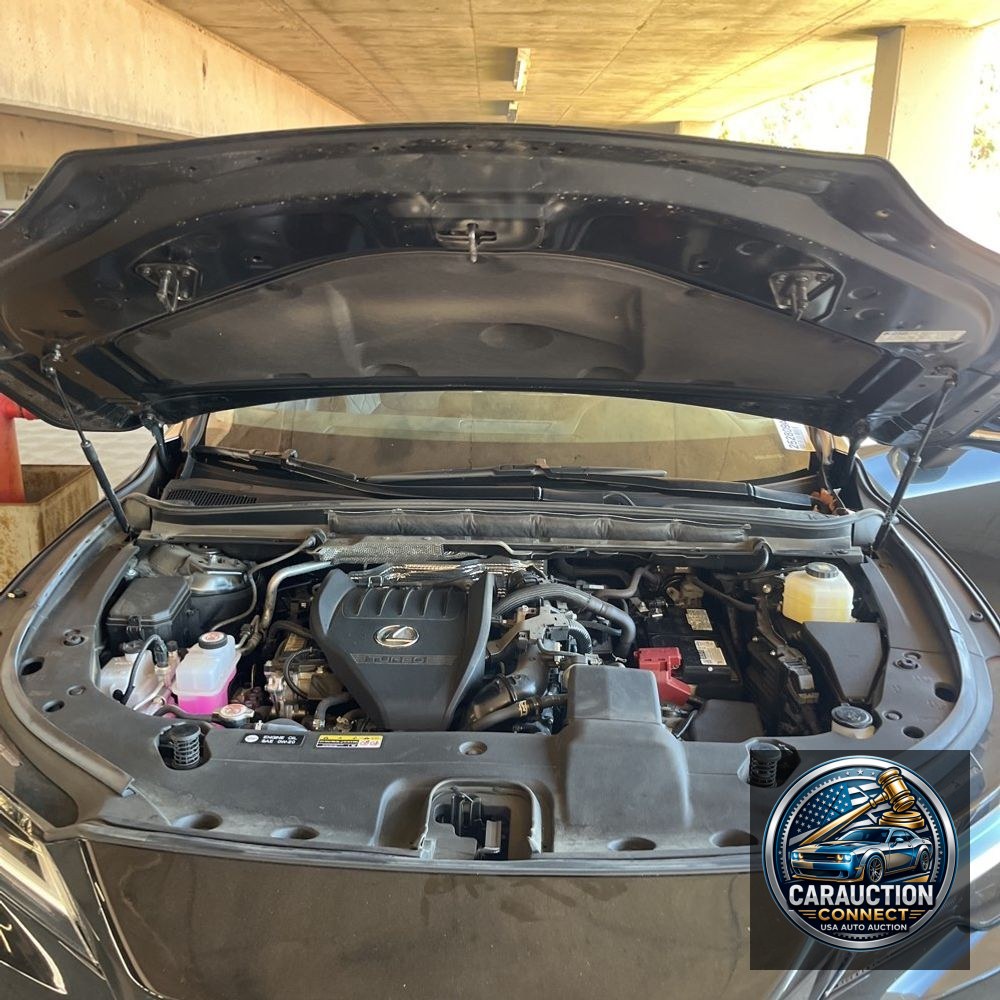 2024 Lexus RX 350 Premium
