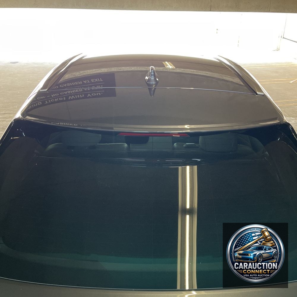 2024 Lexus RX 350 Premium+