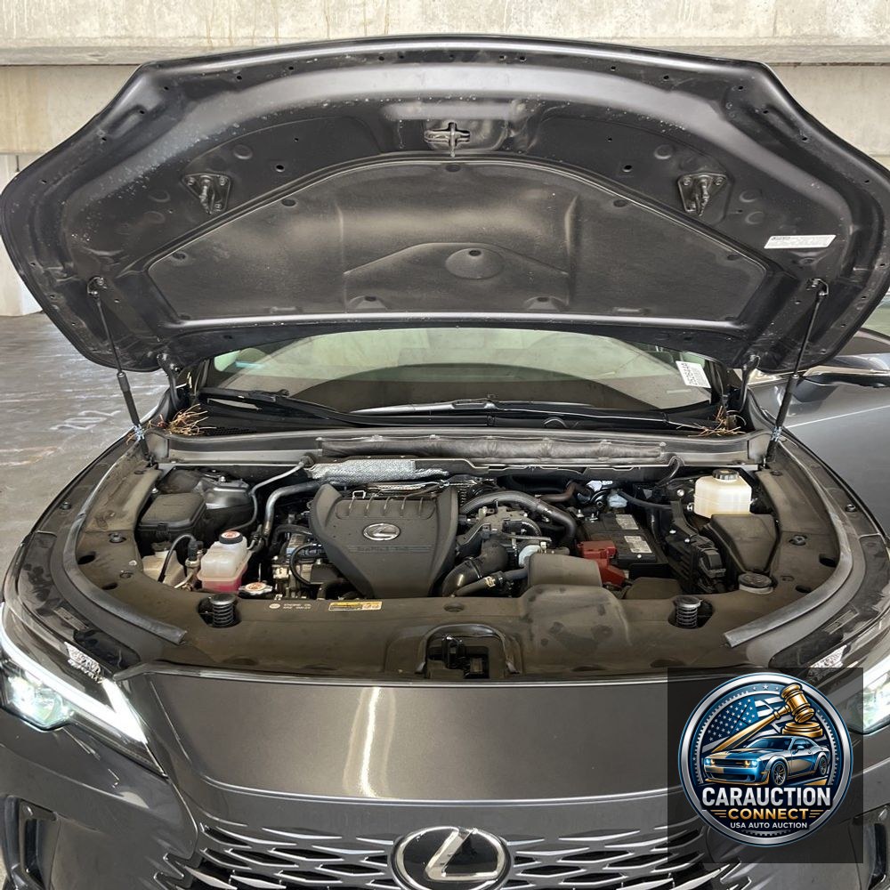 2024 Lexus RX 350 Premium+