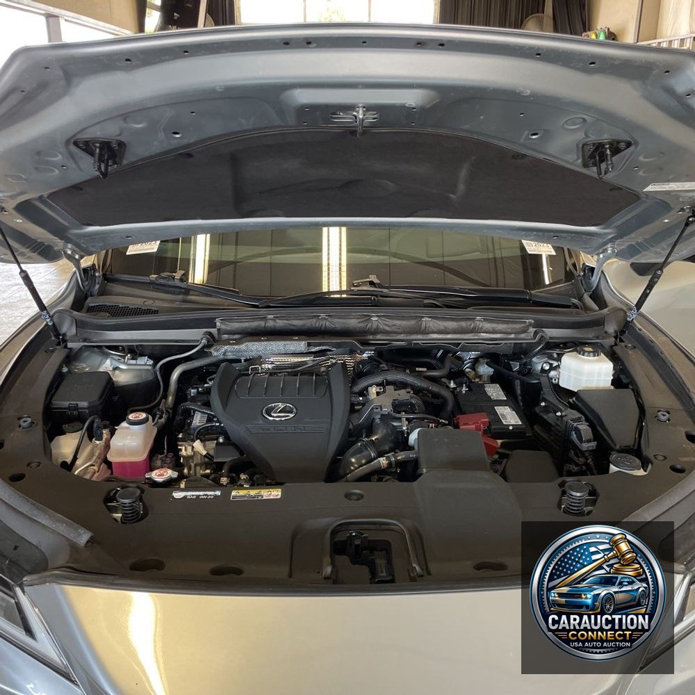 2023 Lexus RX 350 Luxury