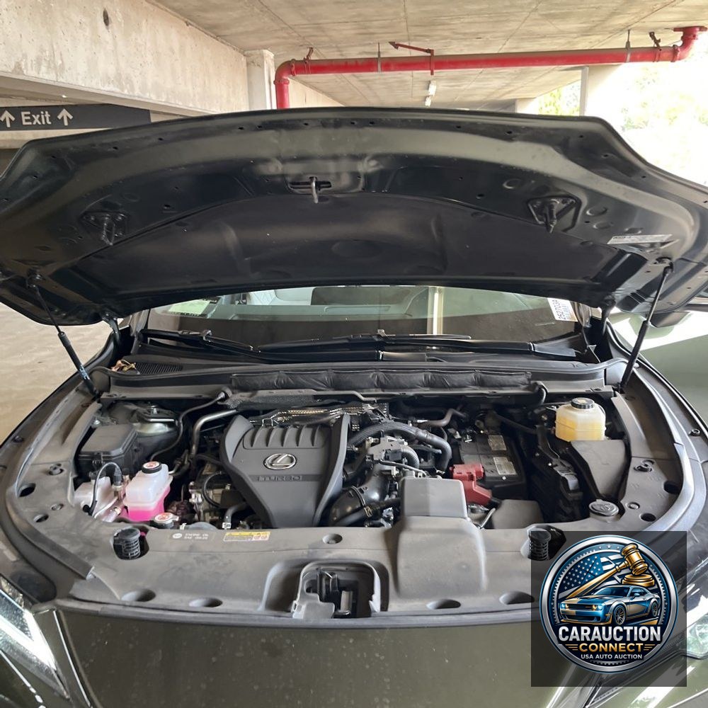 2023 Lexus RX 350 Premium