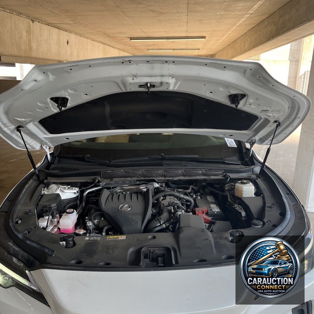 2023 Lexus RX 350 Premium