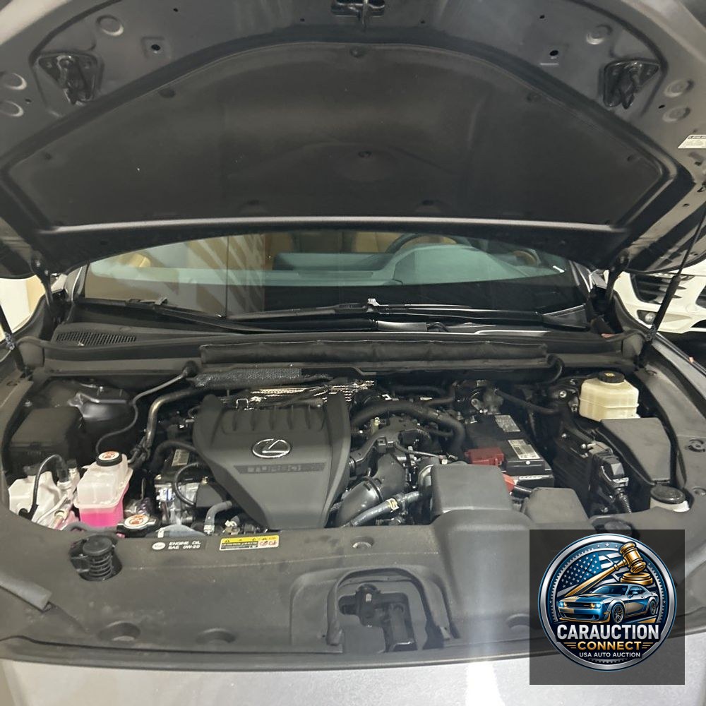 2023 Lexus RX 350 Premium