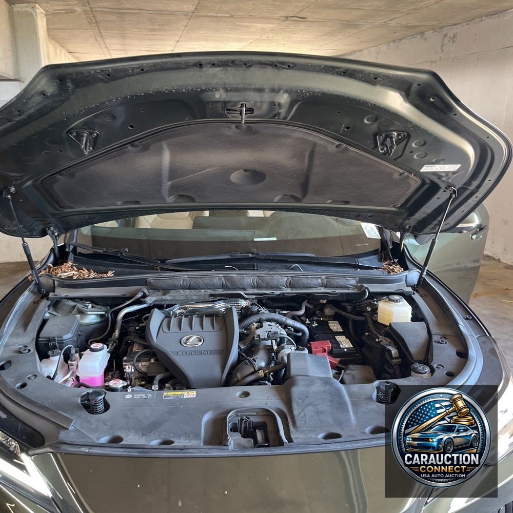 2024 Lexus RX 350 Premium