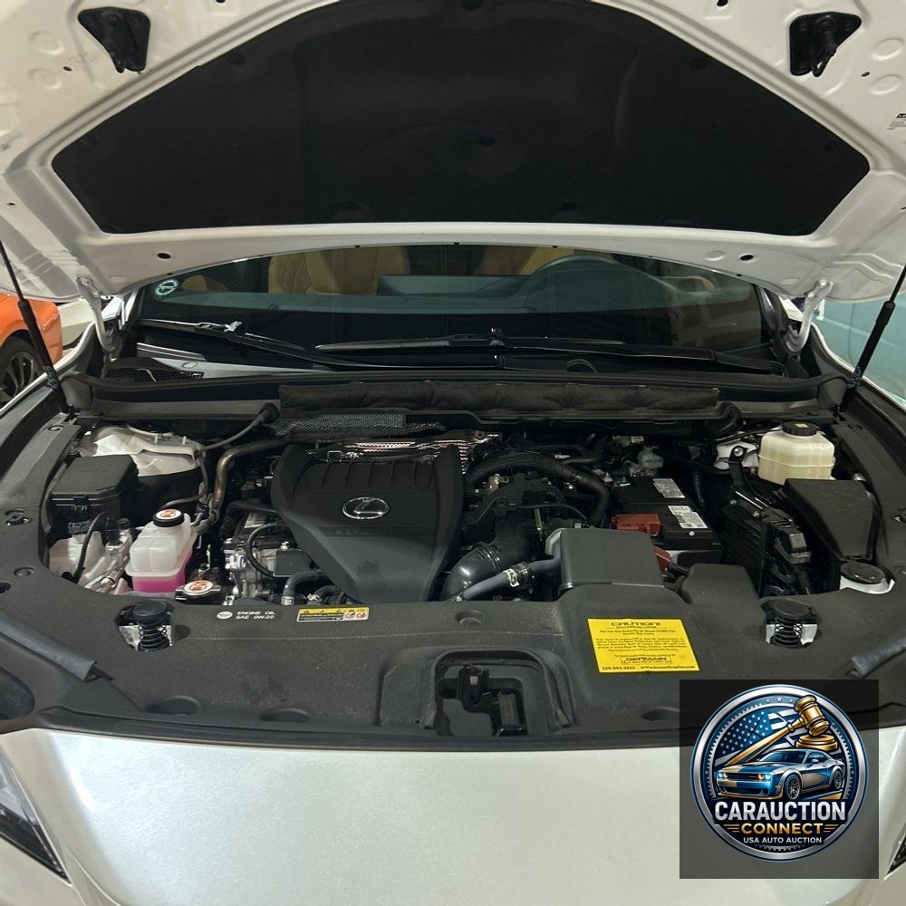 2024 Lexus RX 350 Premium
