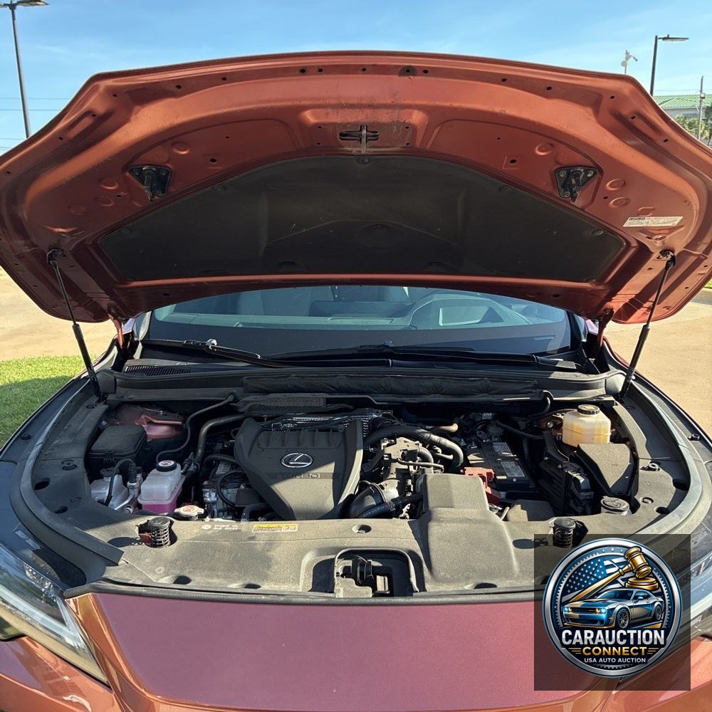 2023 Lexus RX 350 Premium+
