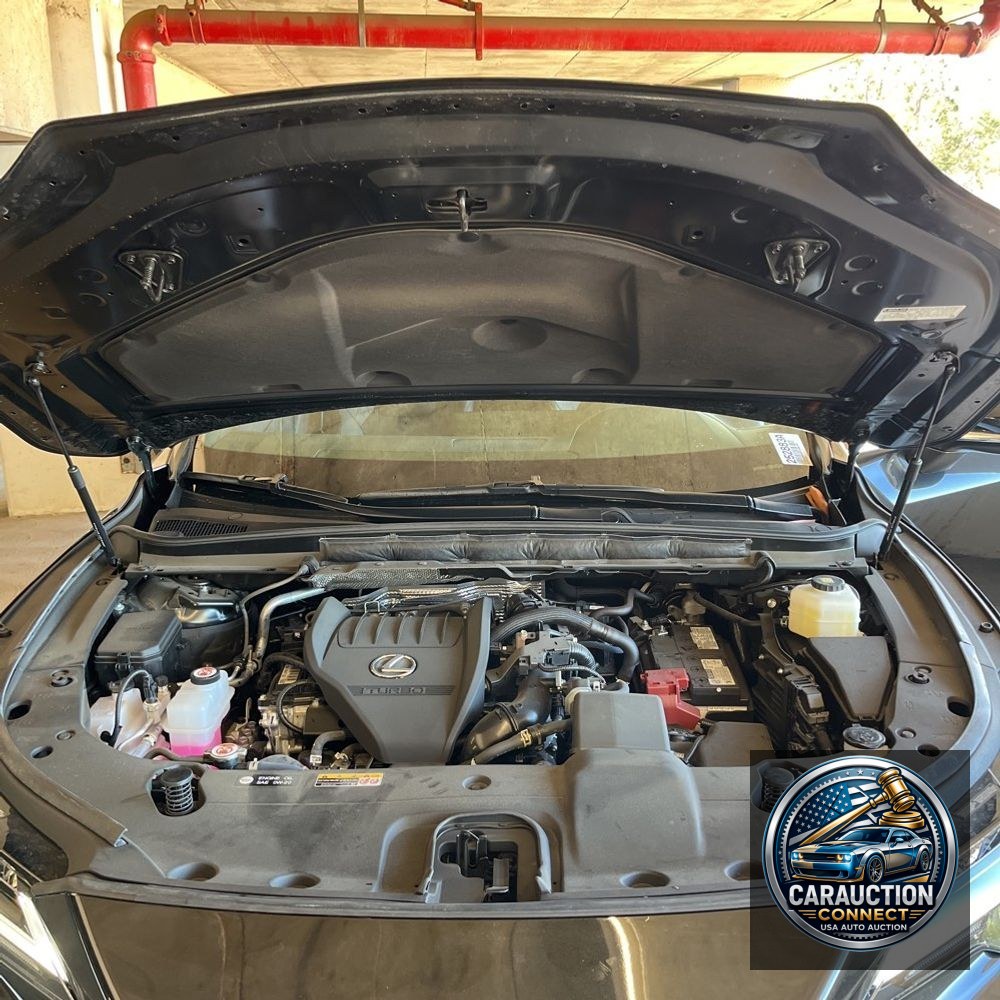 2024 Lexus RX 350 Base