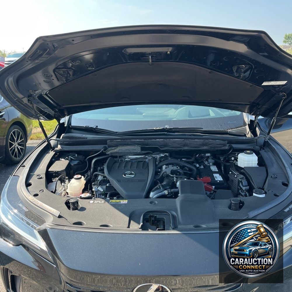 2023 Lexus RX 350 Premium+