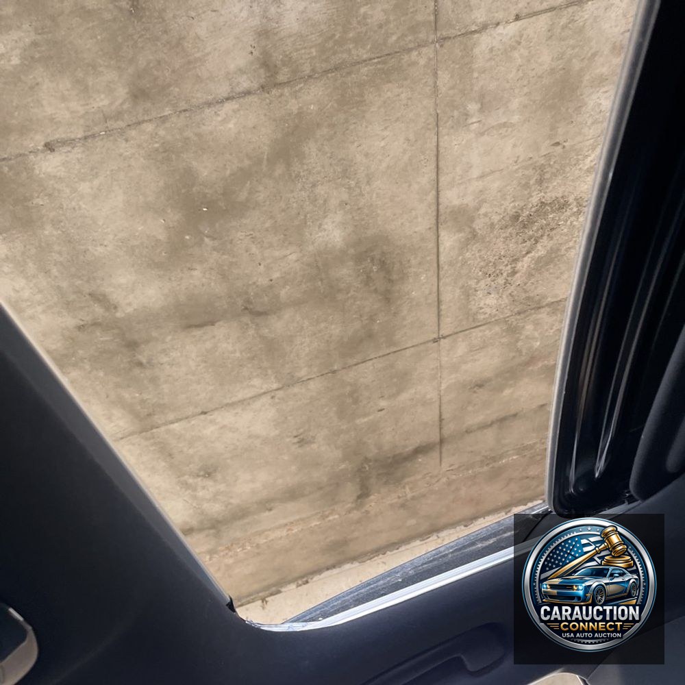2023 Lexus RX 350 F SPORT Handling
