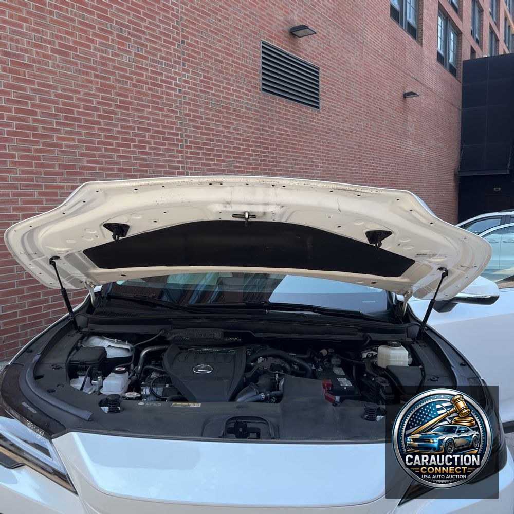 2024 Lexus RX 350 Premium