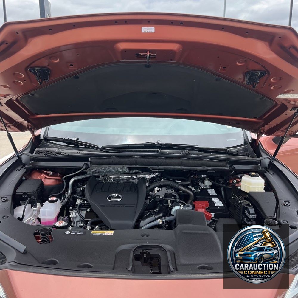 2024 Lexus RX 350 Premium