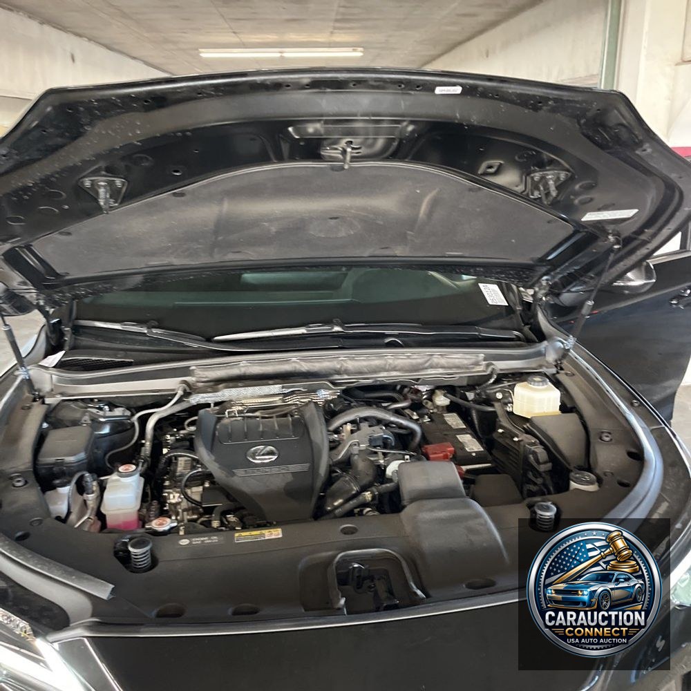 2024 Lexus RX 350 Premium
