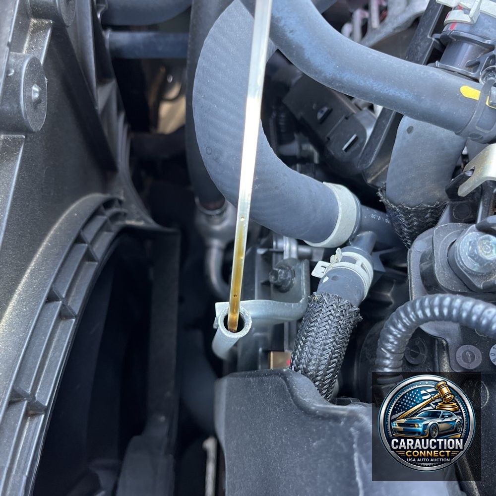 2023 Lexus RX 350 Premium+
