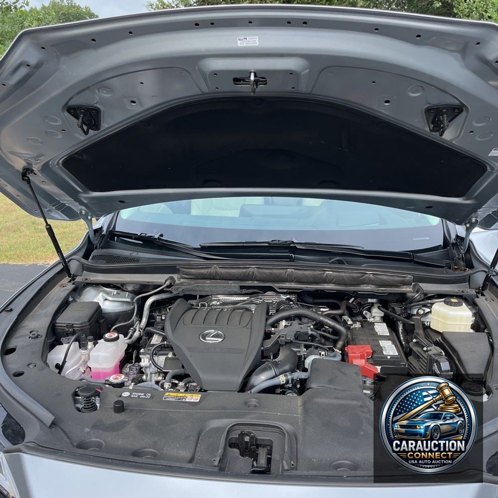 2024 Lexus RX 350 Premium+