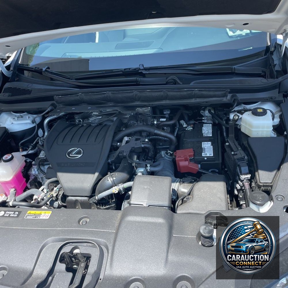 2024 Lexus RX 350 Premium