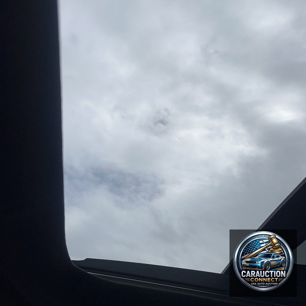 2023 Lexus RX 350 Premium+