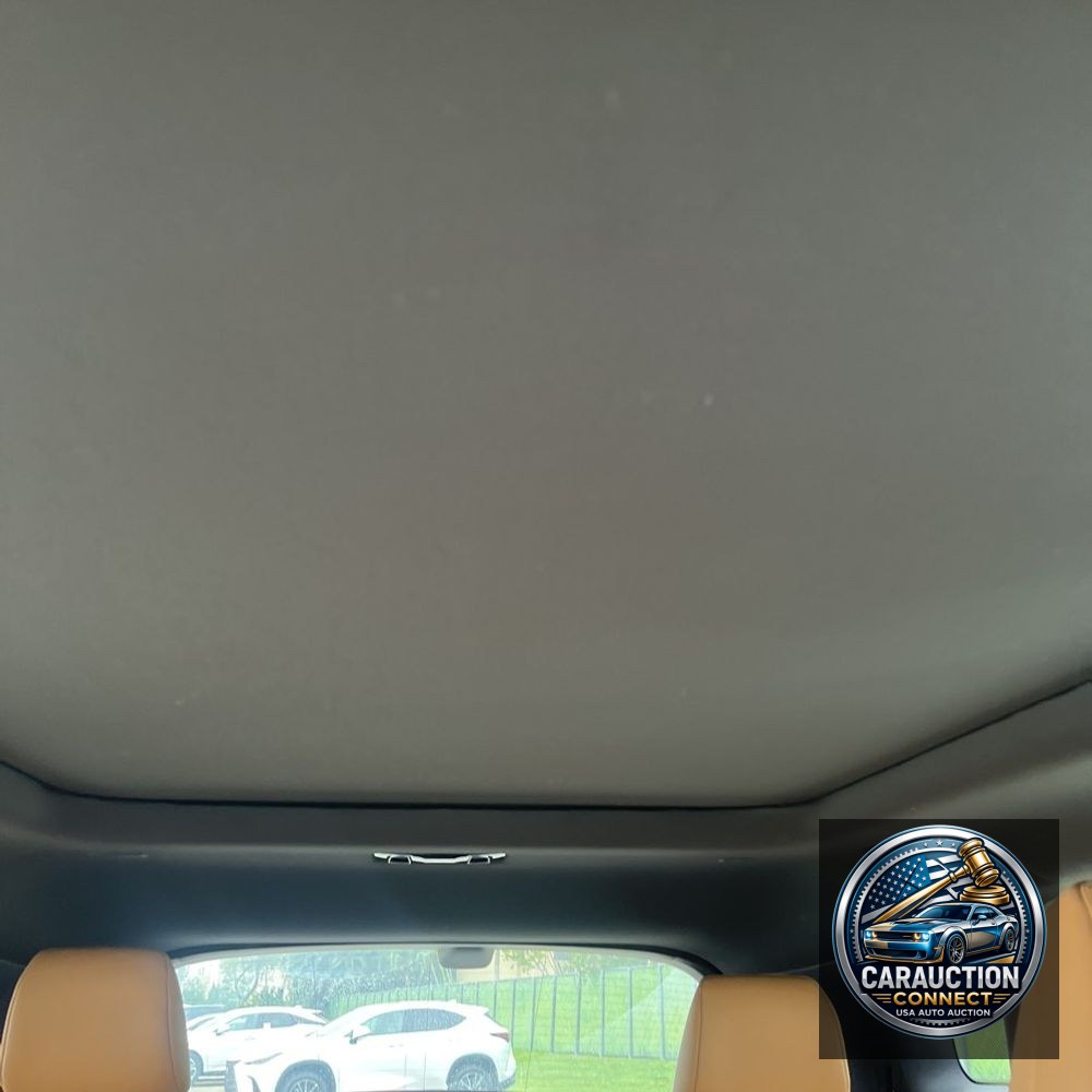 2023 Lexus RX 350 Premium+