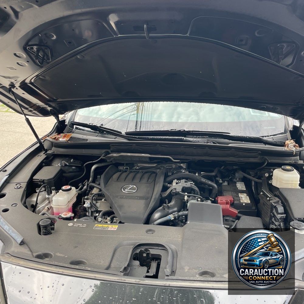 2023 Lexus RX 350 Premium