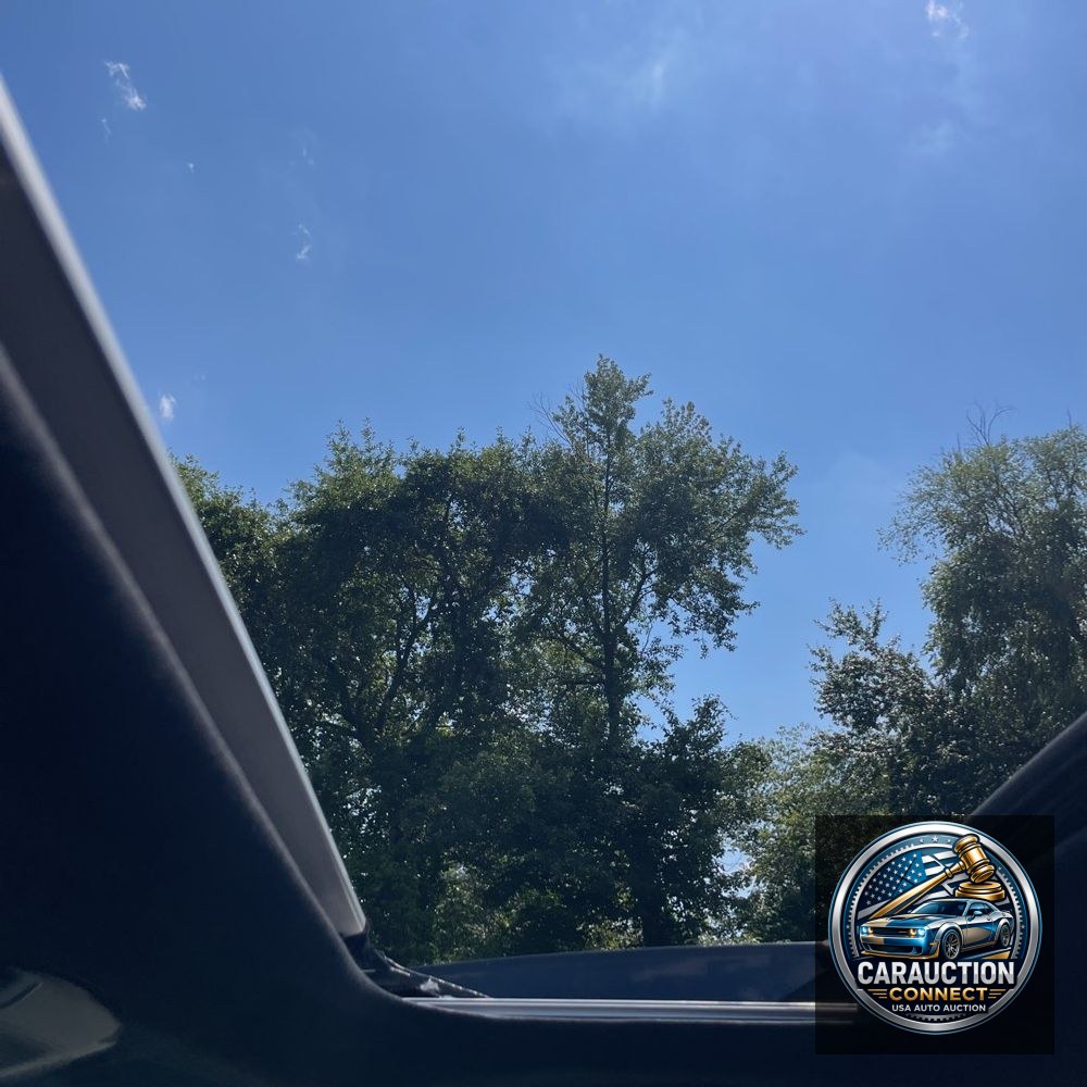 2023 Lexus RX 350 Premium+