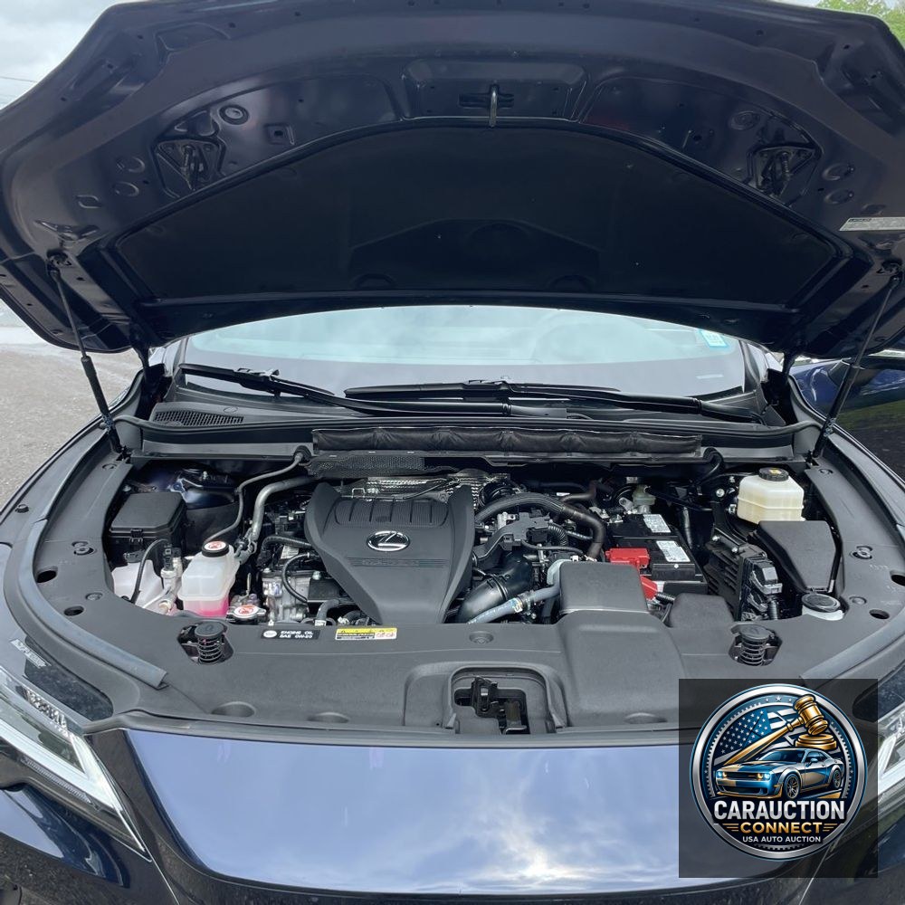 2023 Lexus RX 350 Premium