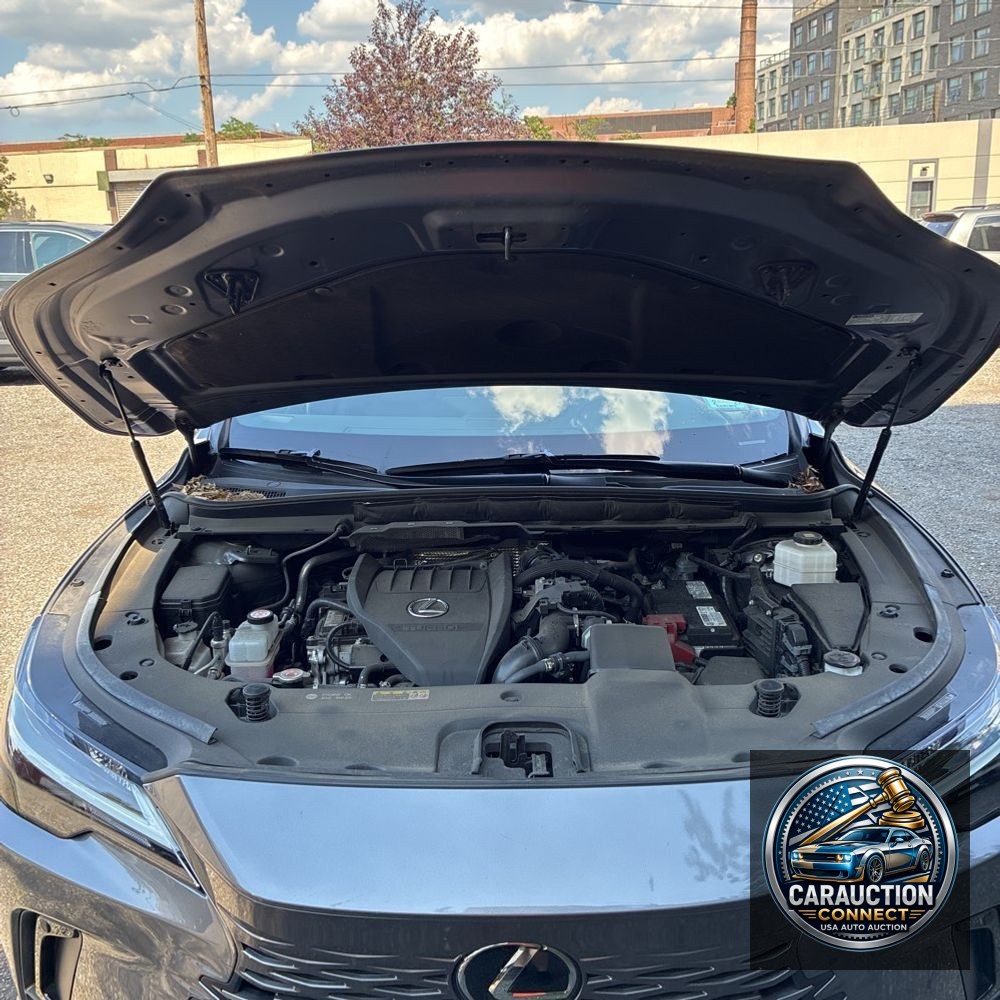 2023 Lexus RX 350 Premium