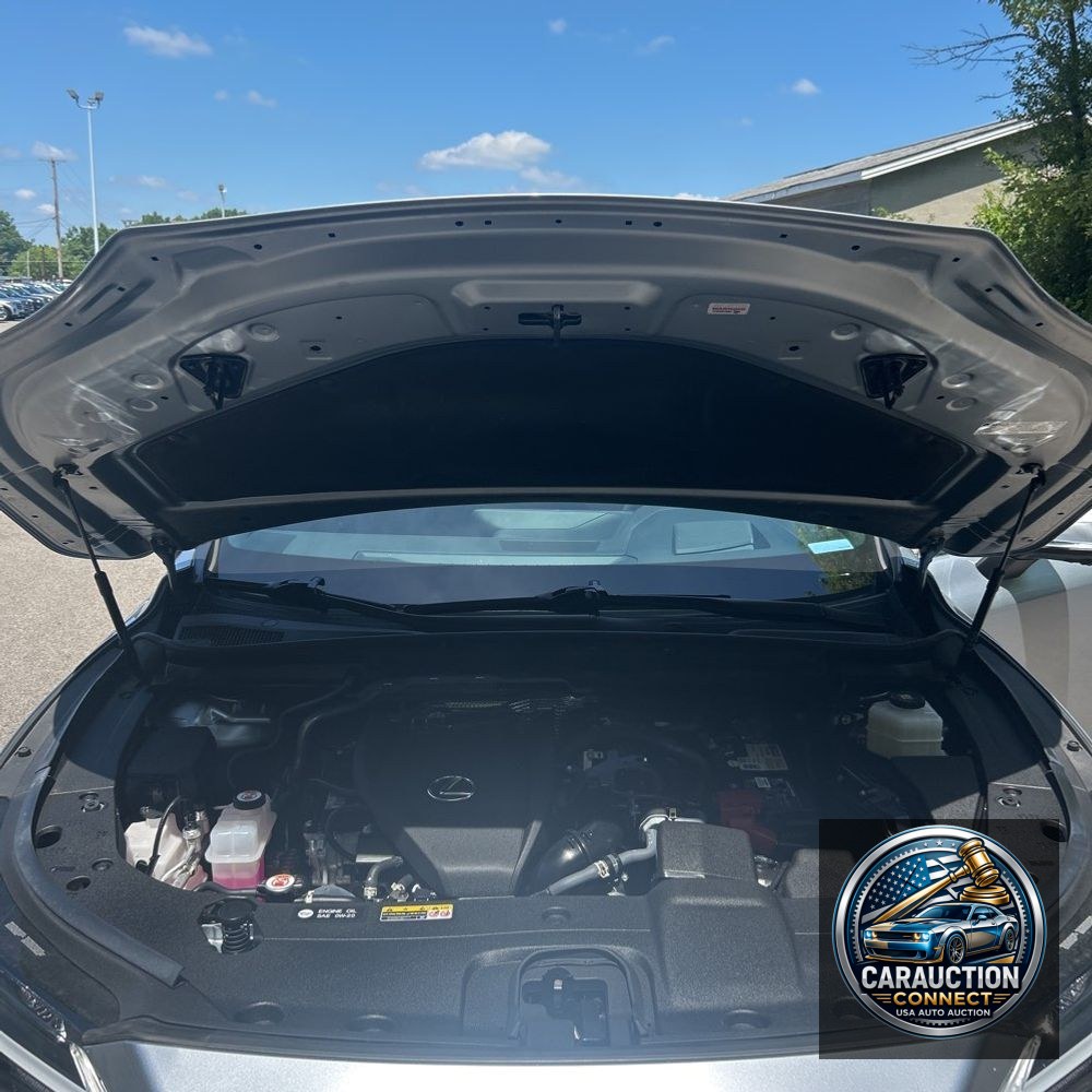 2023 Lexus RX 350 Premium+