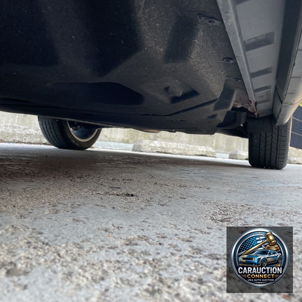 2024 Lexus RX 350 Premium+