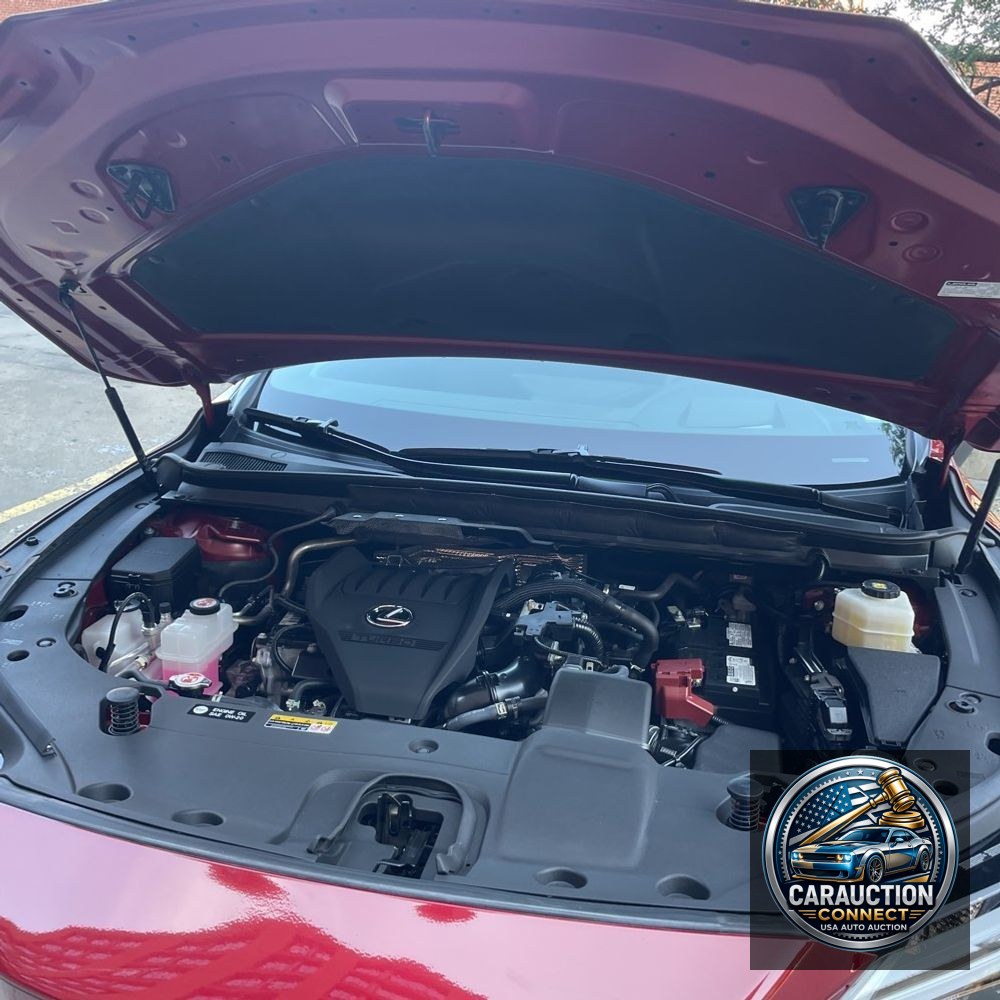 2024 Lexus RX 350 Premium+