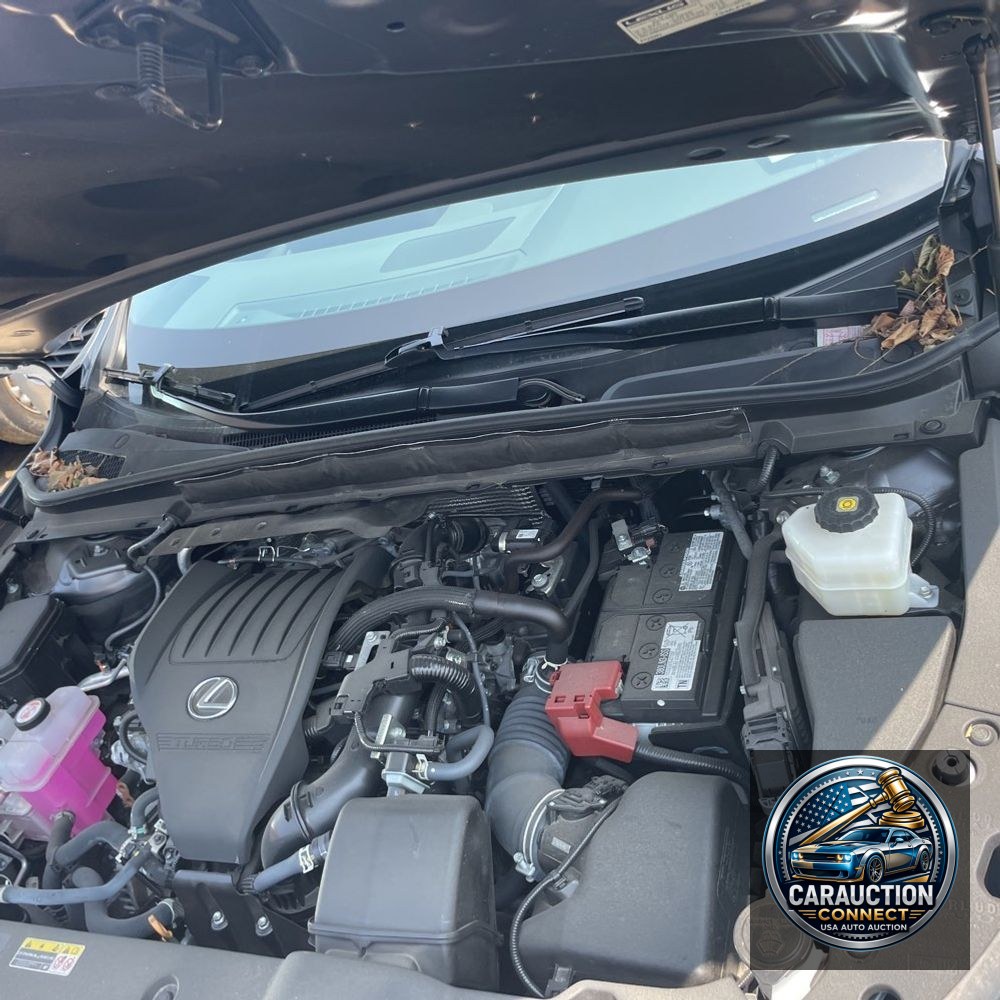 2023 Lexus RX 350 Premium