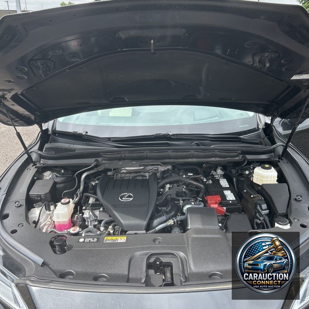 2024 Lexus RX 350 Luxury