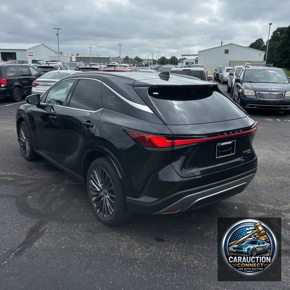 2024 Lexus RX 350 Luxury