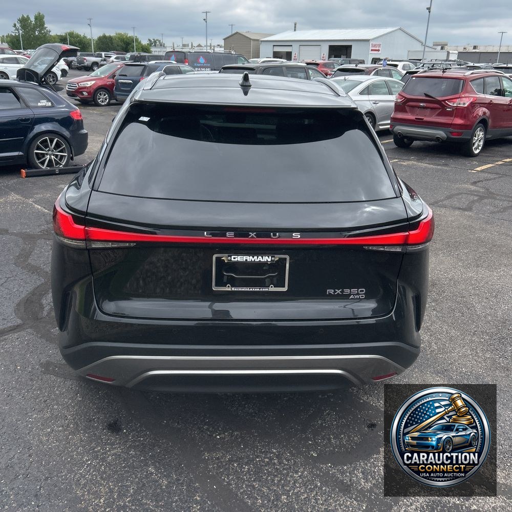 2024 Lexus RX 350 Luxury
